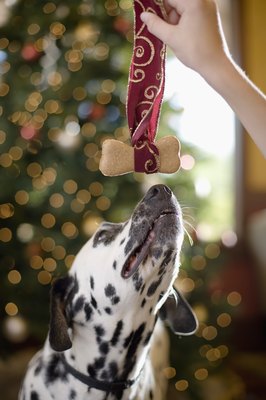 Jupiterimages/Brand X Pictures/Getty Images Beef broth dog biscuits come in handy for training.