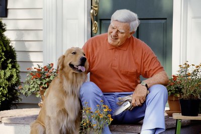 Jupiterimages/liquidlibrary/Getty Images Older dogs are prone to developing arthritis.