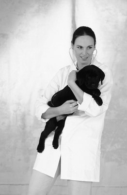 Goodshoot/Goodshoot/Getty Images Consult with your vet to see which vaccinations are appropriate for your puppy.
