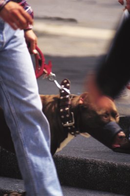 John Foxx/Stockbyte/Getty Images Dogs may need to wear muzzles to interact safely with other pets or people.