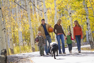 Jupiterimages/Stockbyte/Getty Images Dogs roaming freely might come in contact with poison oak.