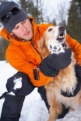 Jupiterimages/Photos.com/Getty Images Your dog's feet need pampering at times.