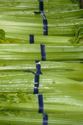Jupiterimages/Photos.com/Getty Images A little cut up celery is fine for your pup. Not this much.