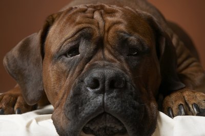 Chris Amaral/Digital Vision/Getty Images Being sick is tough, Mom.
