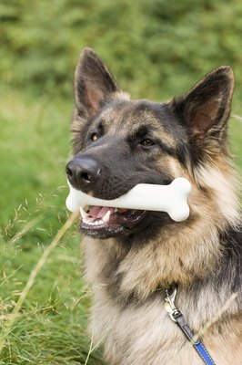 Jupiterimages/Polka Dot/Getty Images Bones can help brush away plaque buildup.