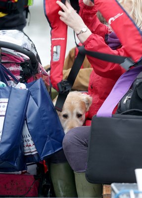 Matt Cardy/Getty Images News/Getty Images Owners often see changes in their dog’s behavior prior to a storm.