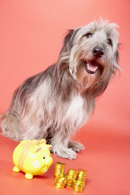 BananaStock/BananaStock/Getty Images Be financially prepared for both routine and unexpected veterinary expenses.