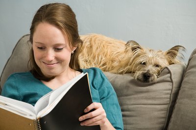 Jupiterimages/Photos.com/Getty Images Potty pads can help protect your furniture from Fido's indoor accidents.