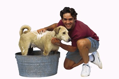 Comstock/Comstock/Getty Images A quick scrub in the tub may help remove some stains.