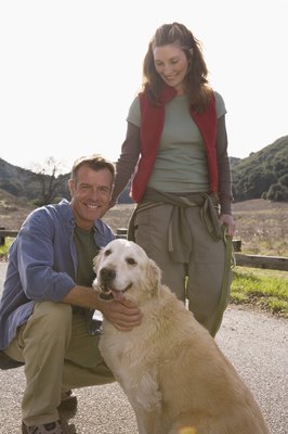 Brand X Pictures/Brand X Pictures/Getty Images A well-trained dog knows how to stay beside his owner even without a leash.