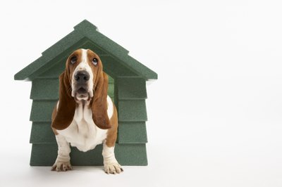BananaStock/BananaStock/Getty Images I'm really in the doghouse after my neighbor's complaints.