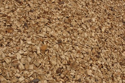 Hemera Technologies/AbleStock.com/Getty Images Wood chip collects scent, which may be attractive to your dog.