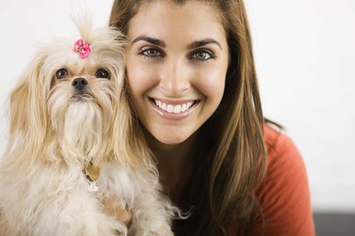 Jupiterimages/Brand X Pictures/Getty Images Dogs with long hair tend to get tangles.