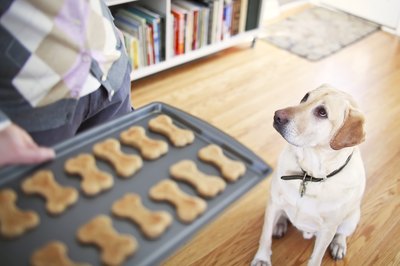 Digital Vision./Digital Vision/Getty Images Dogs eagerly anticipate homemade goodies made with love and wholesome ingredients.