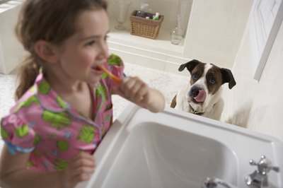 Kane Skennar/Photodisc/Getty Images Keep your doggy's teeth sparkly and clean.