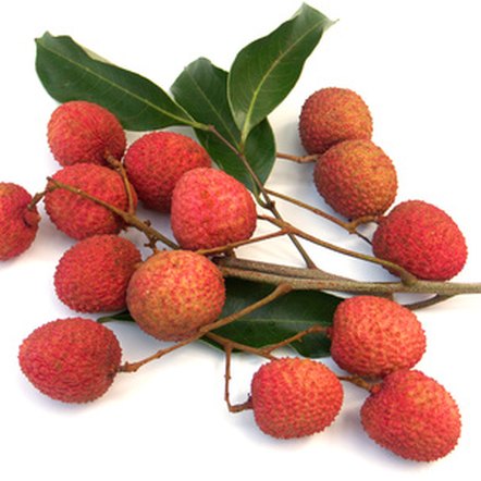 With an inedible seed, the lychee is a fruit, rather than a nut.