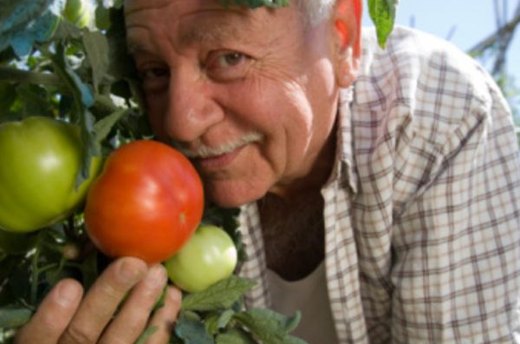 Tomatoes and Asparagus Make Good Companions