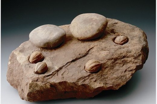 Nutting Stone