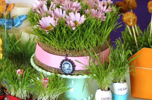 The Wonders of Wheatgrass: 5 Decorating Ideas for Your Spring Table