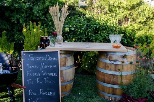 Backyard Party Zone