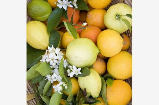 Vitamin C