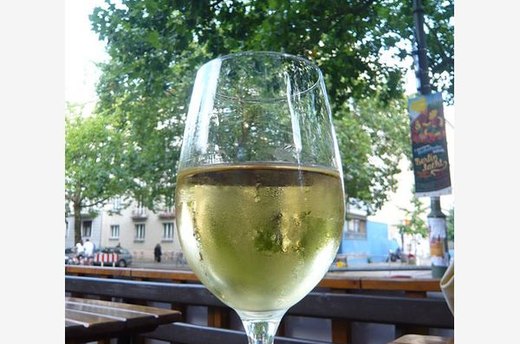 Riesling: The Elegant Lady of Pedigree