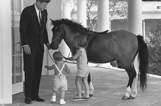 Macaroni the Pony and Other Presidential Pets