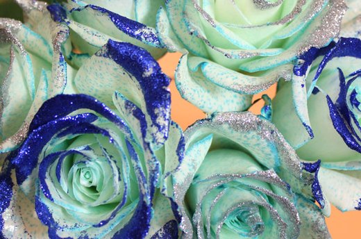 Hanukkah Roses with Glitter