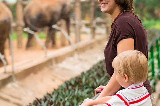 Animal Encounters