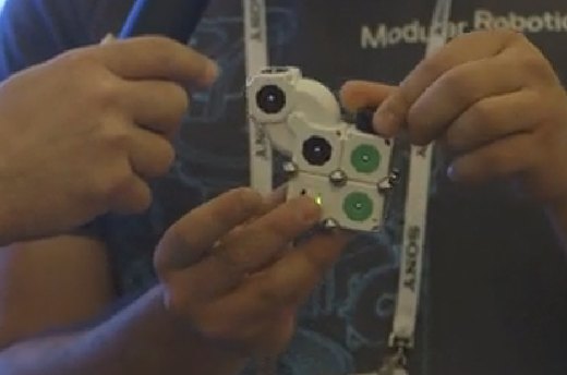MOSS: Modular Robots Anyone Can Build