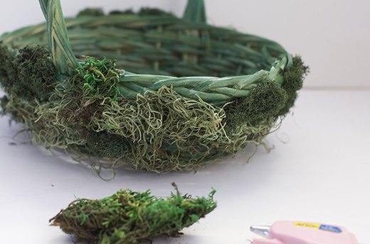 Cover Basket with Moss