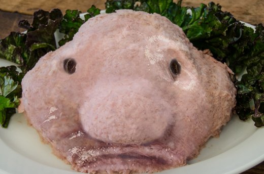 Blobfish Pate