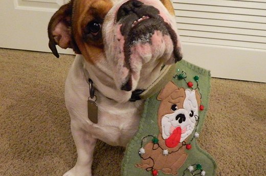 Homemade Stocking