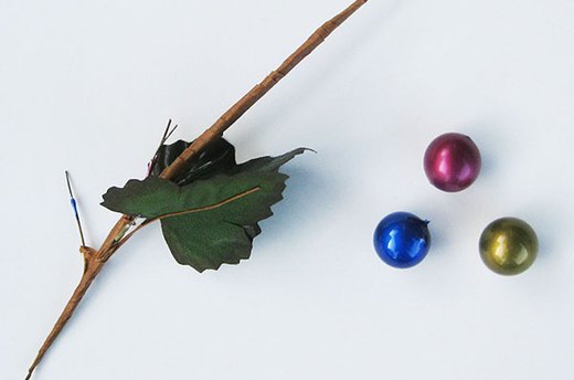 Pull Berries from Stem