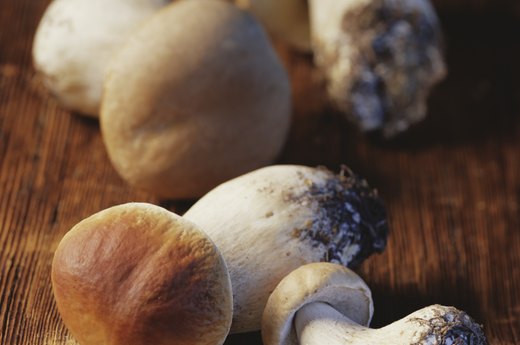 Porcini powder