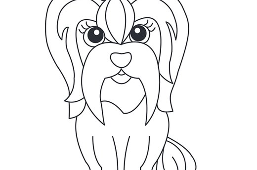 Shih Tzu Template