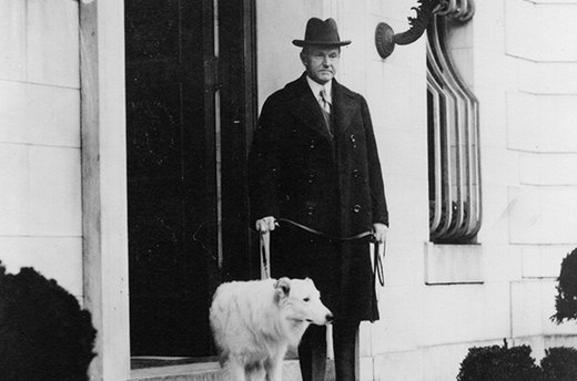 Rob Roy, Calvin Coolidge's Collie