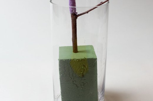 Set the Branch in a Vase