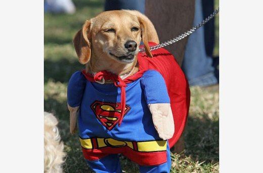 Super Dog