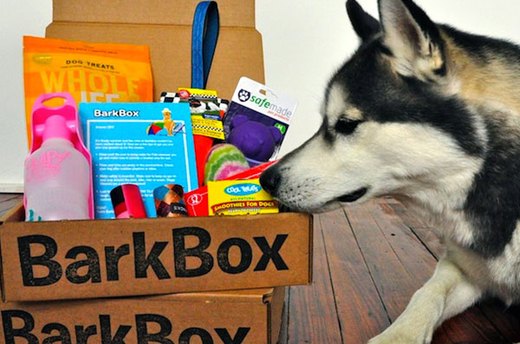 For Your Dog
