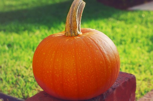 $25: Pumpkins