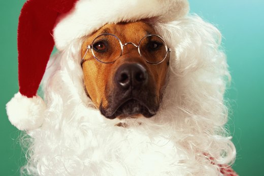 Santa's Little Helper