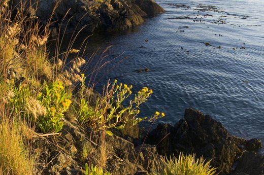 San Juan Islands, Washington