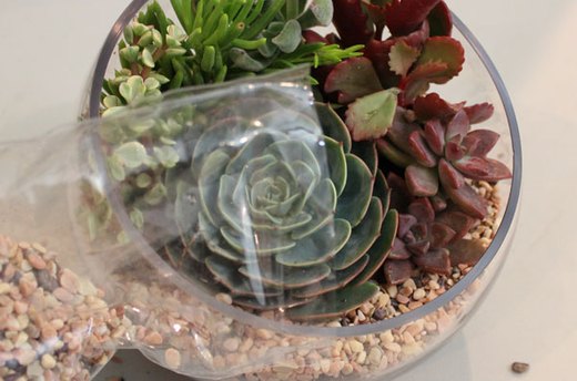 Cover the Soil with Gravel