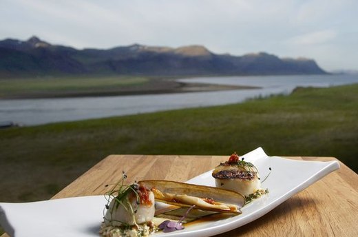 New Nordic Cooking