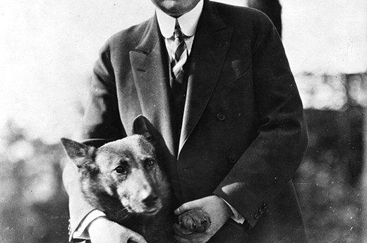 King Tut, Herbert Hoover's German Shepherd