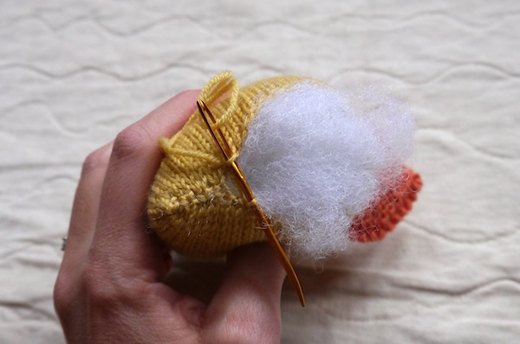 Stuff the Chicken