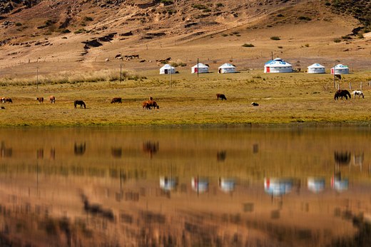 Become a Warrior in Mongolia