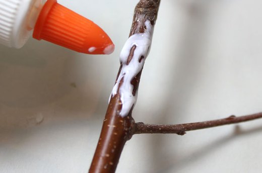 Wrapping the Branch in Yarn