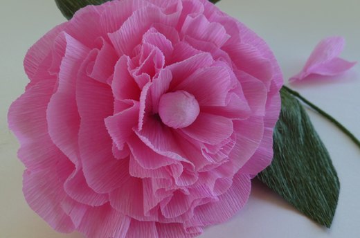 Peony